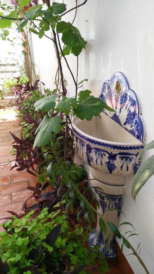 Patios Con Encanto Кордова Екстер'єр фото